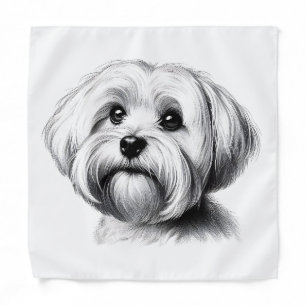 Drawing Maltese Dog Bandana