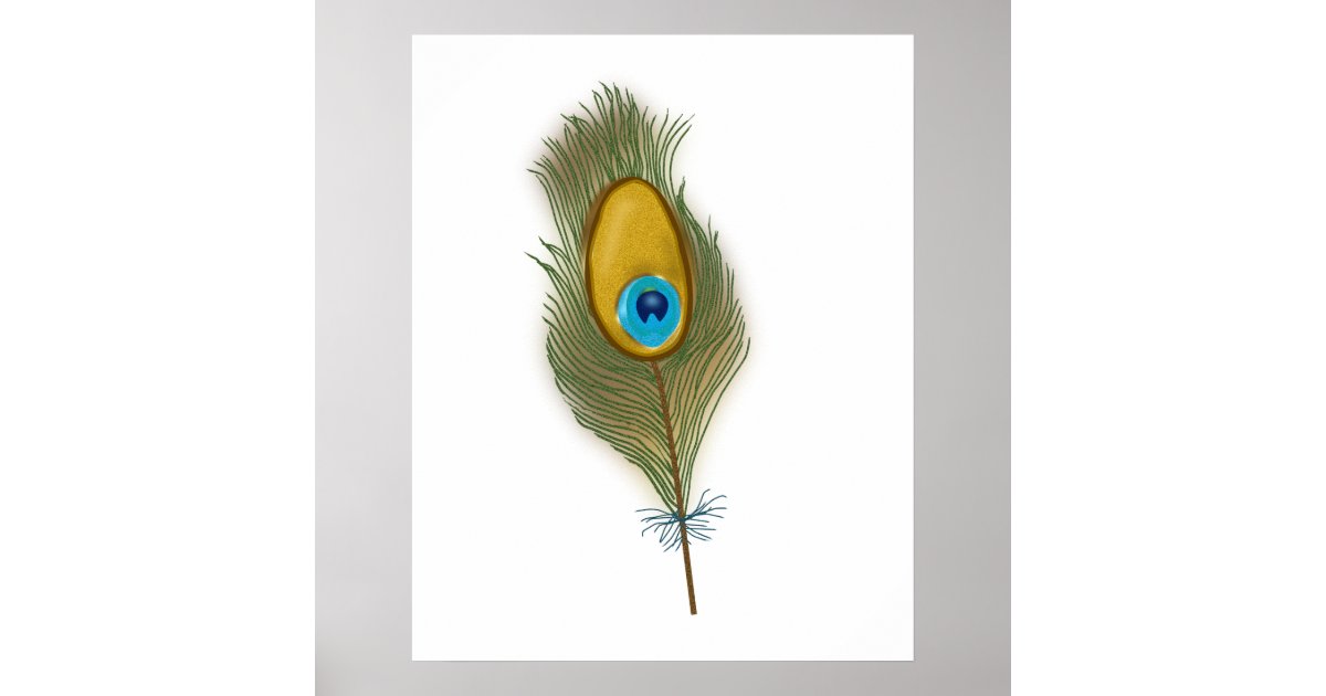 Single Male Peacock tail Feather against colorful For sale as Framed  Prints, Photos, Wall Art and Photo Gifts