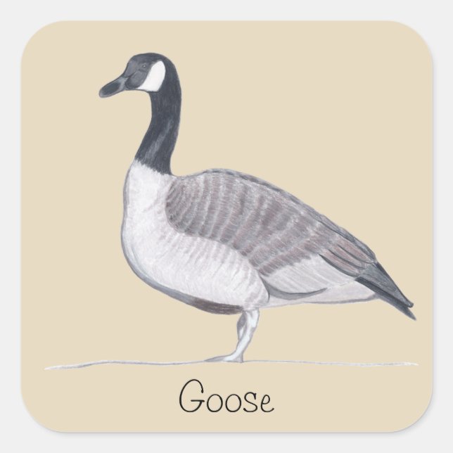 Drawing of Goose Standing Text Template CherylsArt Square Sticker (Front)