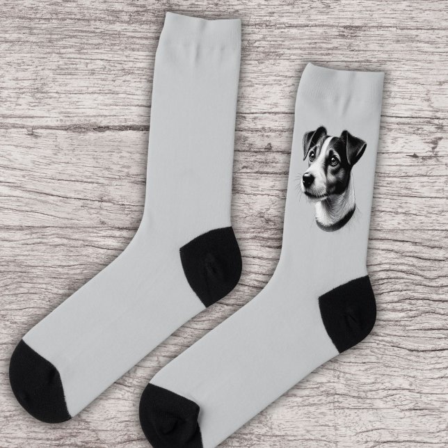 Drawing of Jack Russell Terrier Socks (Creator Uploaded)