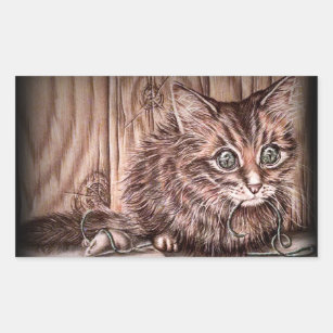 Drawing Of Kitten Cute Pet Portrait Cat Rectangular Sticker Drawing Of Kitten Cute Pet Portrait Cat Rectangular Sticker