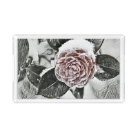 Drawing of pink roses 