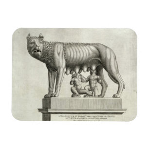 Drawing of the Etruscan bronze of the she-wolf suc Magnet