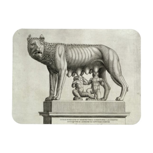 Drawing of the Etruscan bronze of the she-wolf suc Magnet (Horizontal)