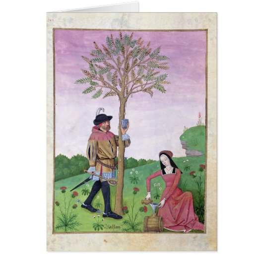 Drawing sap from a tree cards (Front)
