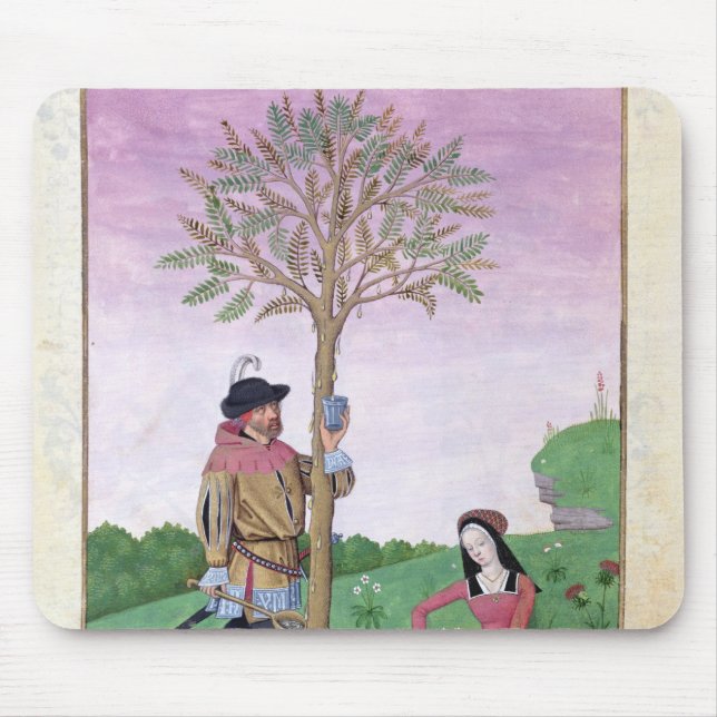 Drawing sap from a tree mouse pad (Front)