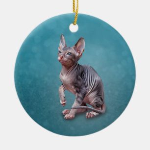 Drawing Sphynx kitten Ceramic Ornament