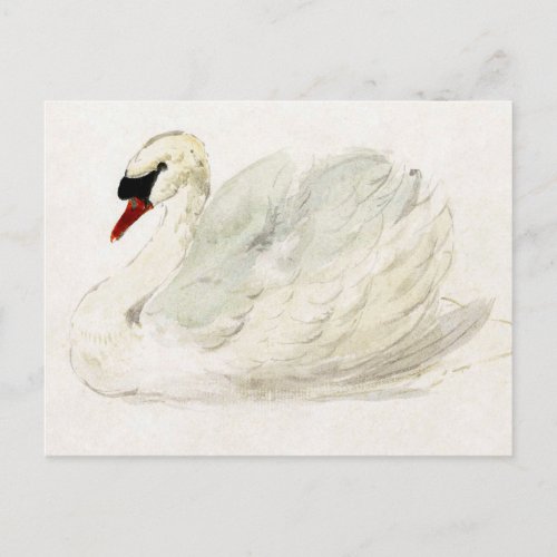 Drawing swan by Aert Schouman Postcard