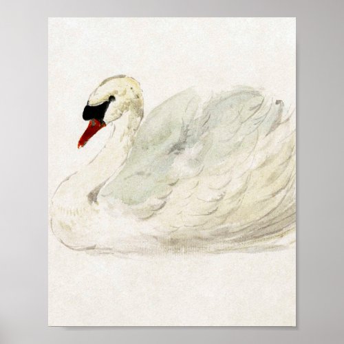 Drawing swan by Aert Schouman  Poster