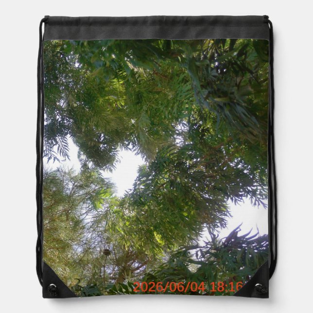 Drawstring Backpack (Front)