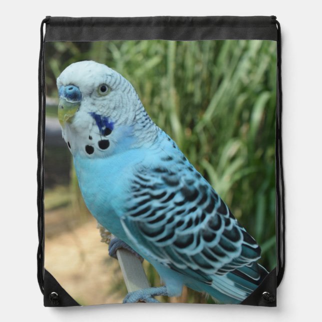 drawstring backpack (Front)