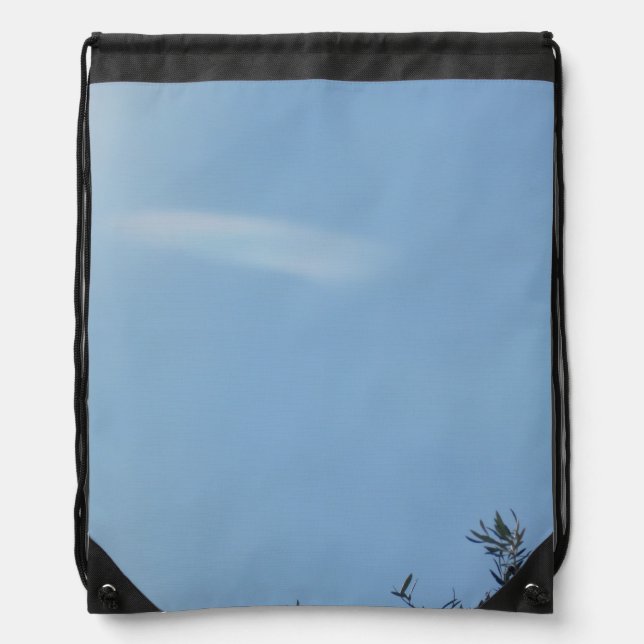 Drawstring Backpack (Front)