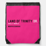 land of trinity  Drawstring Backpack