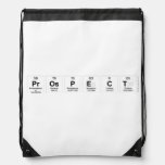 Prospect  Drawstring Backpack