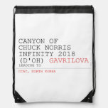 Canyon of chuck norris INFinity 2018 (D'oh)  Drawstring Backpack