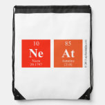 Neat  Drawstring Backpack