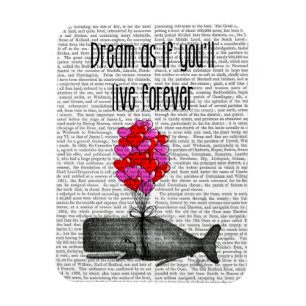 Dream As If You'll Live Forever Magnet