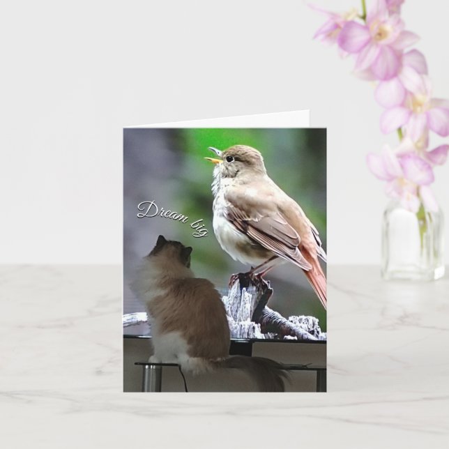 Dream Big Ragdoll Cat Bird Note Card (Orchid)