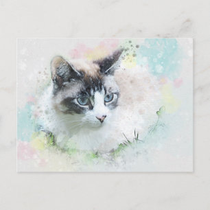 dream cat postcard