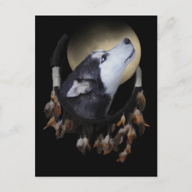 Dream catcher and blue eyed Husky Postcard (Front)