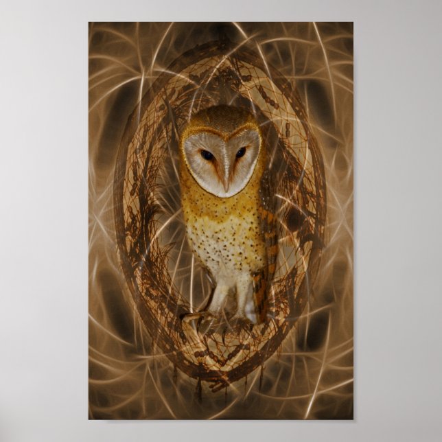 Dream catcher owl poster (Front)