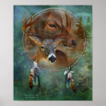 Dream Catcher Series-Spirit Of the Deer Poster