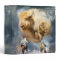 Dream Catcher-Spirit Of The White Buffalo Binder