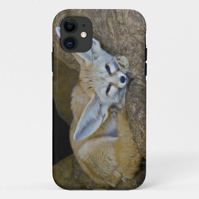 Dream Ears iPhone 5 Case-Mate Case (Back)
