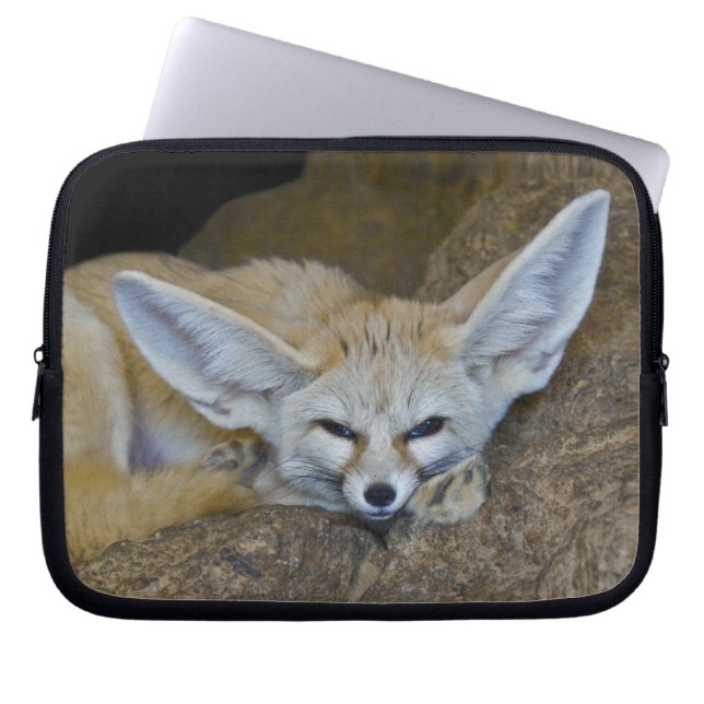 Dream Ears Laptop Sleeve (Front)