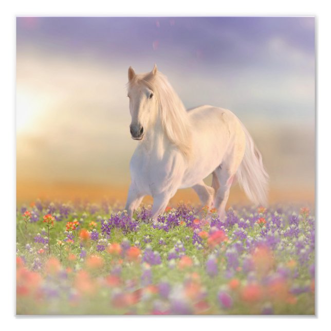 Dream horse running through field of pink flowers photo print (Front)