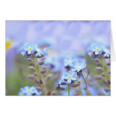 Dream in Blue (Front Horizontal)