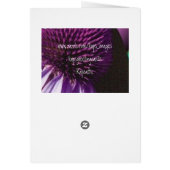 Dream in Color (Back)