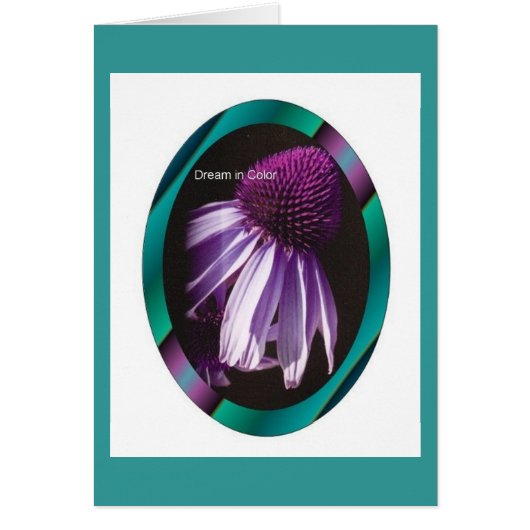 Dream in Color (Front)