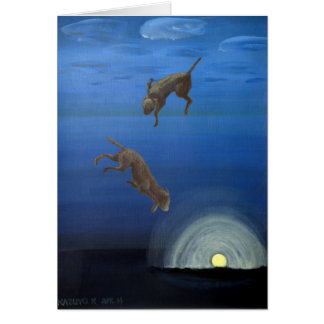 Dream in Water 1 Cards