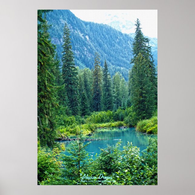Dream Lake Alaska, USA & Forested Mountains Photo Poster (Front)