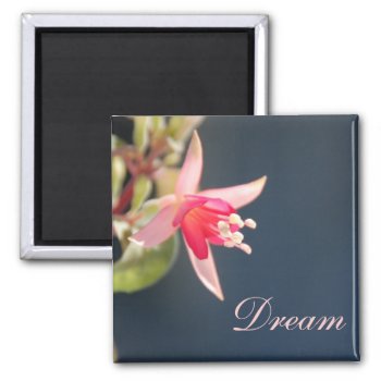 Dream Magnet by pulsDesign at Zazzle
