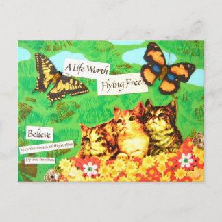 Dream Of Flight - Vintage Postcard