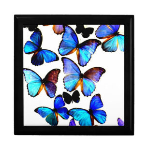 Dream On/Butterflies Jewelry Box