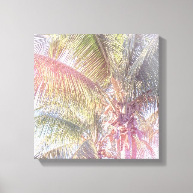 Dream Palm Tree Canvas Print (Front)