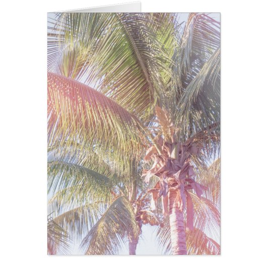 Dream Palm Tree Cards (Front)