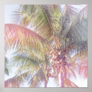 Dream Palm Tree Poster