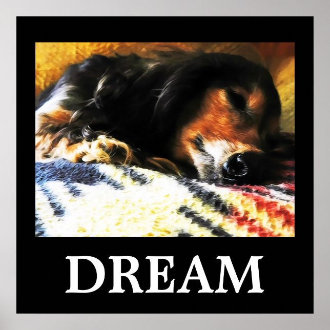 Dream Poster (Front)