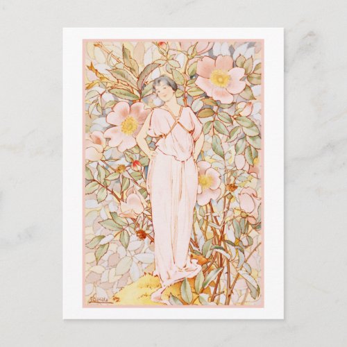 Dream Roses Wild Rose Fairy Postcard