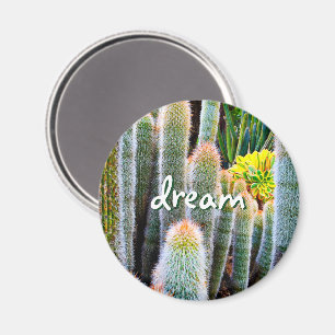 Dream Script Fuzzy Green Cacti Succulent Photo Magnet