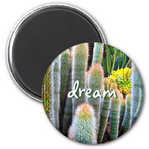 Dream Script Fuzzy Green Cacti Succulent Photo Magnet