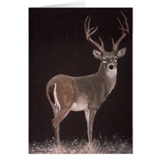 Dream Stag Cards (Front)