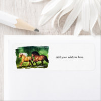 Dream Team- Icelandic Horses