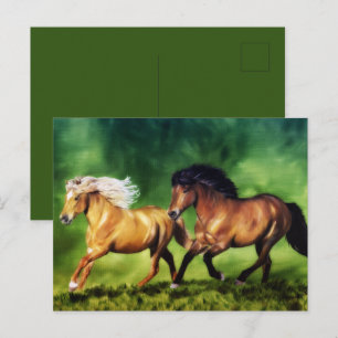 Dream Team-Icelandic Horses Postcard