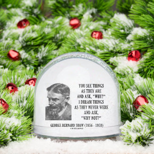 Dream Things They Never Were Ask Why Not? Shaw Qte Snow Globe