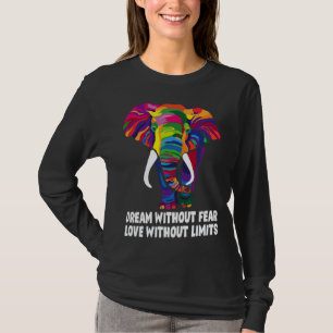 Dream Without Fear Love Without Limits LGBT Pride T-Shirt